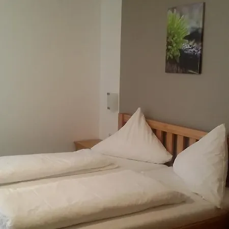 Ochsen Guest house 3*