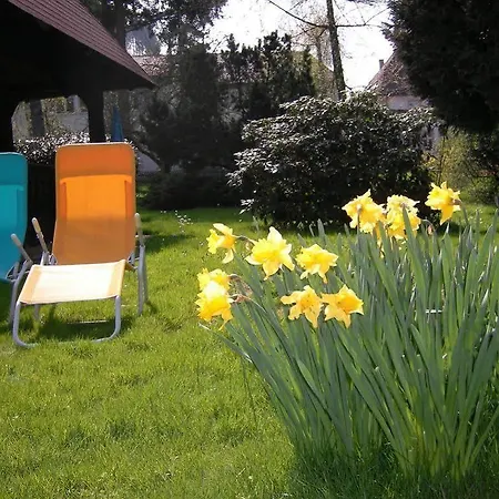Ochsen Guest house 3*