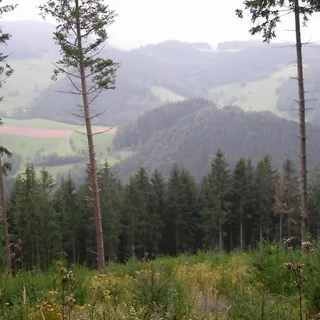 Ochsen Guest house 3*