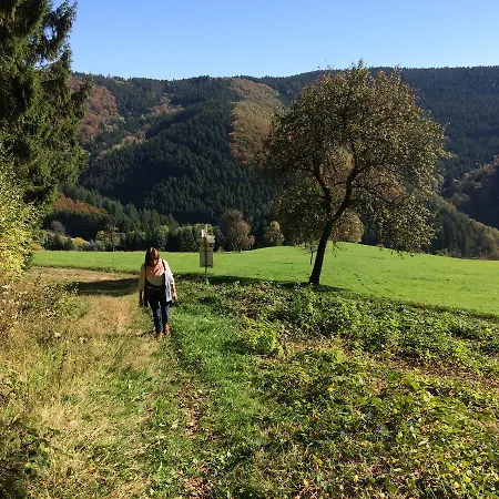 Gasthaus Ochsen Penzion Mühlenbach